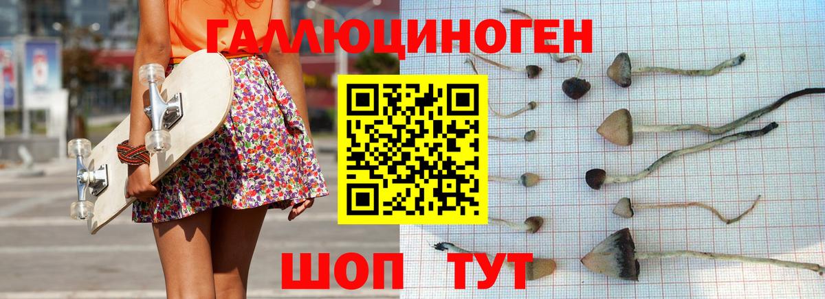 Псилоцибиновые грибы мицелий  Вход с VPN  Усть-Лабинск  Псилоцибиновые грибы Psilocybine cubensis 