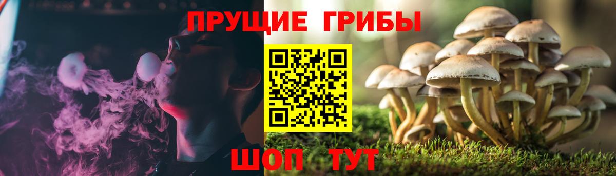 Псилоцибиновые грибы прущие грибы Усть-Лабинск